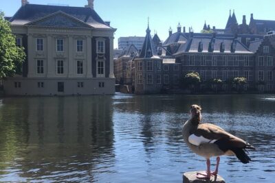 Visit the Girl with the Pearl Earring, The Hague & Delft City - Mauritshuis: getting the most out of Girl with a Pearl Earring