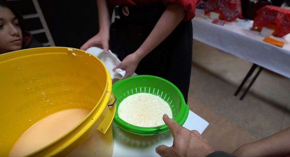 Volendam: 2.5-Hour Cheesemaking Workshop & Clog Making Tour - Simonehoeve and the Katwoude setting that feels local