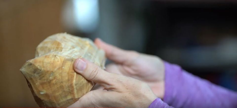 Volendam: 2-Hour Clogmaking Workshop and Cheese Tour - Price and time: is $91 per person worth it?