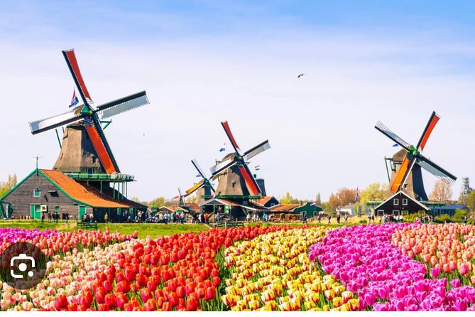 Windmills Country side tour Zaanse Schans-Cheesefactory-Volendam - Jacobs Hoeve by Henri Willig: Cheese Farm Tour and Free Tastings