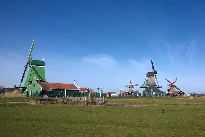 Zaanse Schans 3-Hour Private Tour from central Amsterdam, Airport or Port - Stop 3: Catharina Hoeve Cheese Farm (Talk and Tasting)