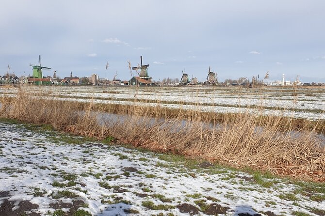 Zaanse Schans & Volendam Small-Group Tour with Hotel Pickup - Cheese factory demonstration: traditional costume, real food culture, quick learning
